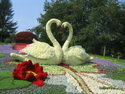 Thumb_18_214_1474