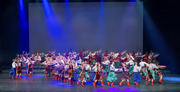 Thumb_barvinok_lac_-_concert_2019-2218