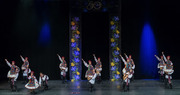 Thumb_barvinok_lac_-_concert_2019-1733