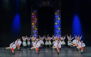 Thumb_barvinok_lac_-_concert_2019-1469