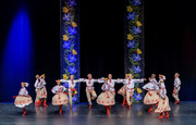 Thumb_barvinok_lac_-_concert_2019-1310